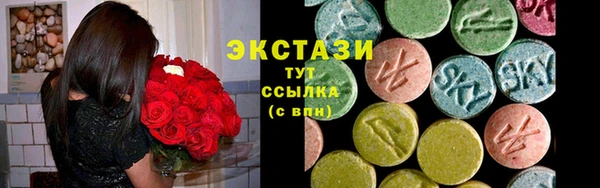 стаф Арсеньев
